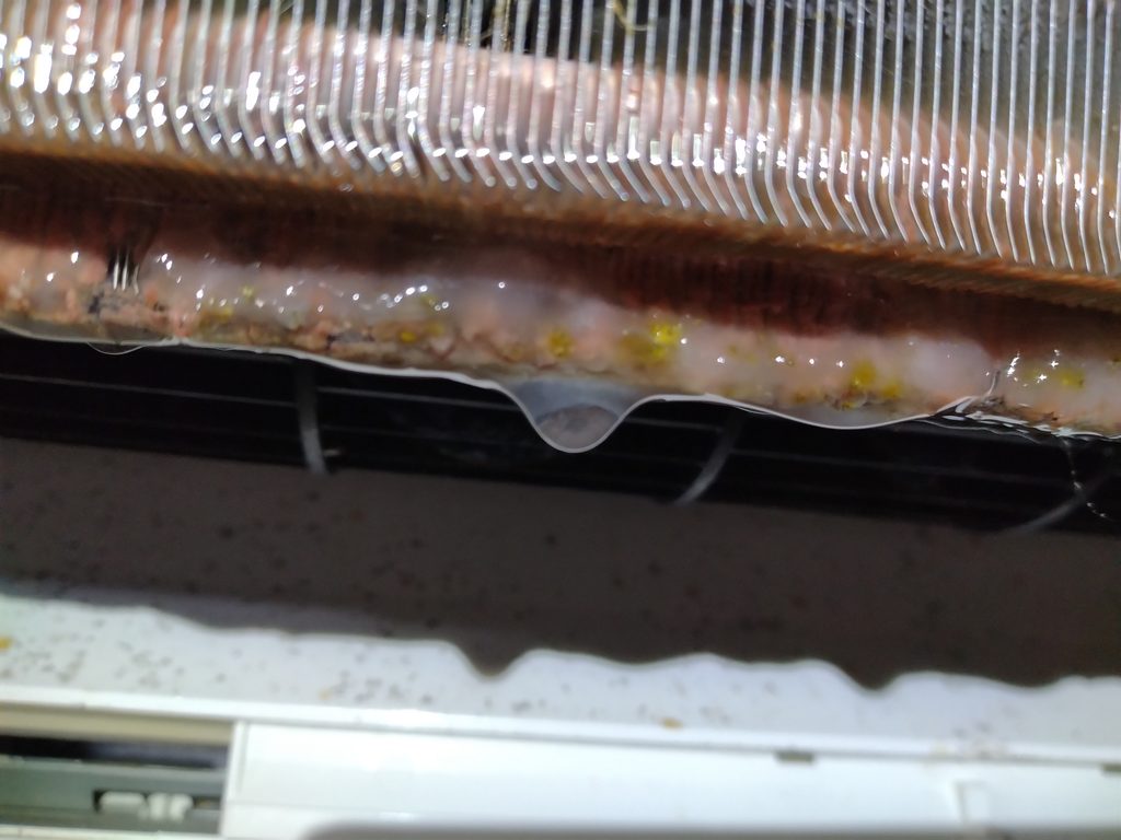 熱交換器　ドレンスライム