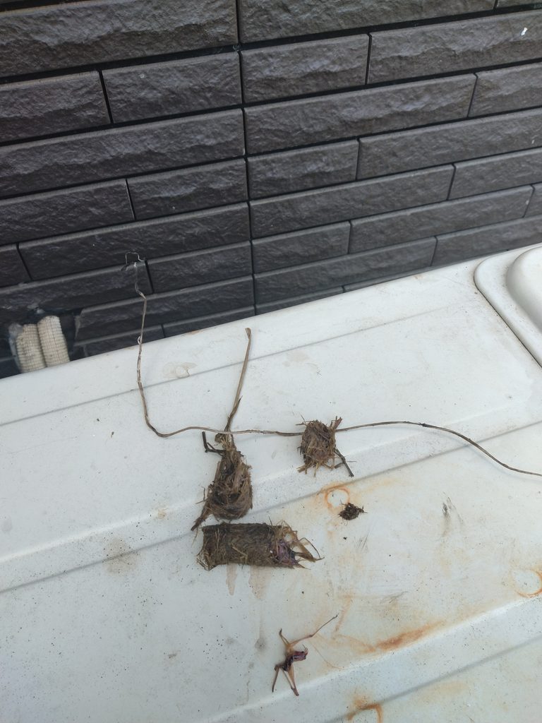 隠蔽配管 固形物